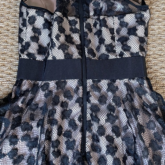 Milly | Lace Overlay Fit & Flare Dress - Picture 8 of 8